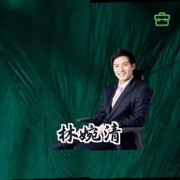 林婉清